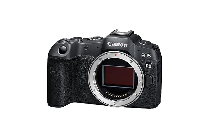 dslr