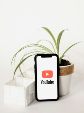 Social media & influencer marketing